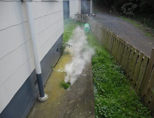 What Is Smoke Drain Testing & Its Benefits?