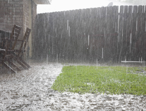 Why Your House Might Smell Bad When It Rains