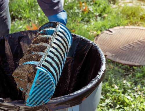 What Are Septic Tank Filters & Are They Necessary?